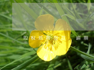 股权质押贷款 逾期 股权质押贷款 逾期